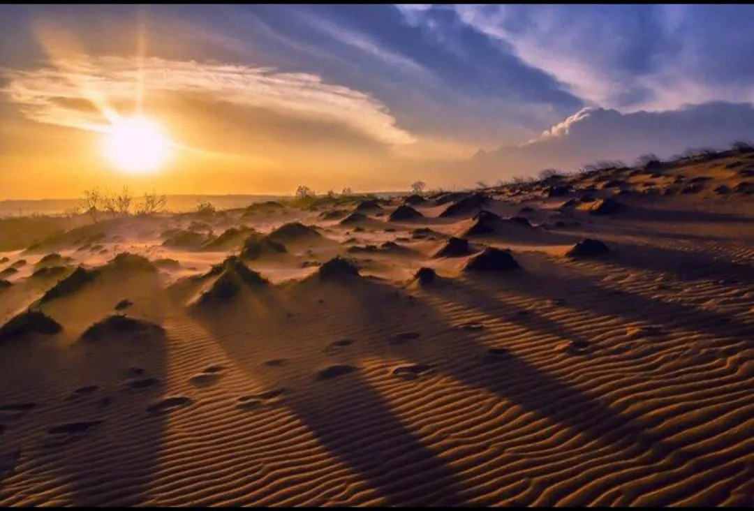 🐪✨ Desert Safari Adventure – El Gouna / Hurghada Desert 🏜️🔥 Desert safari Adventure El Gouna hurghada desert /IMG-20260702-WA0094.jpg